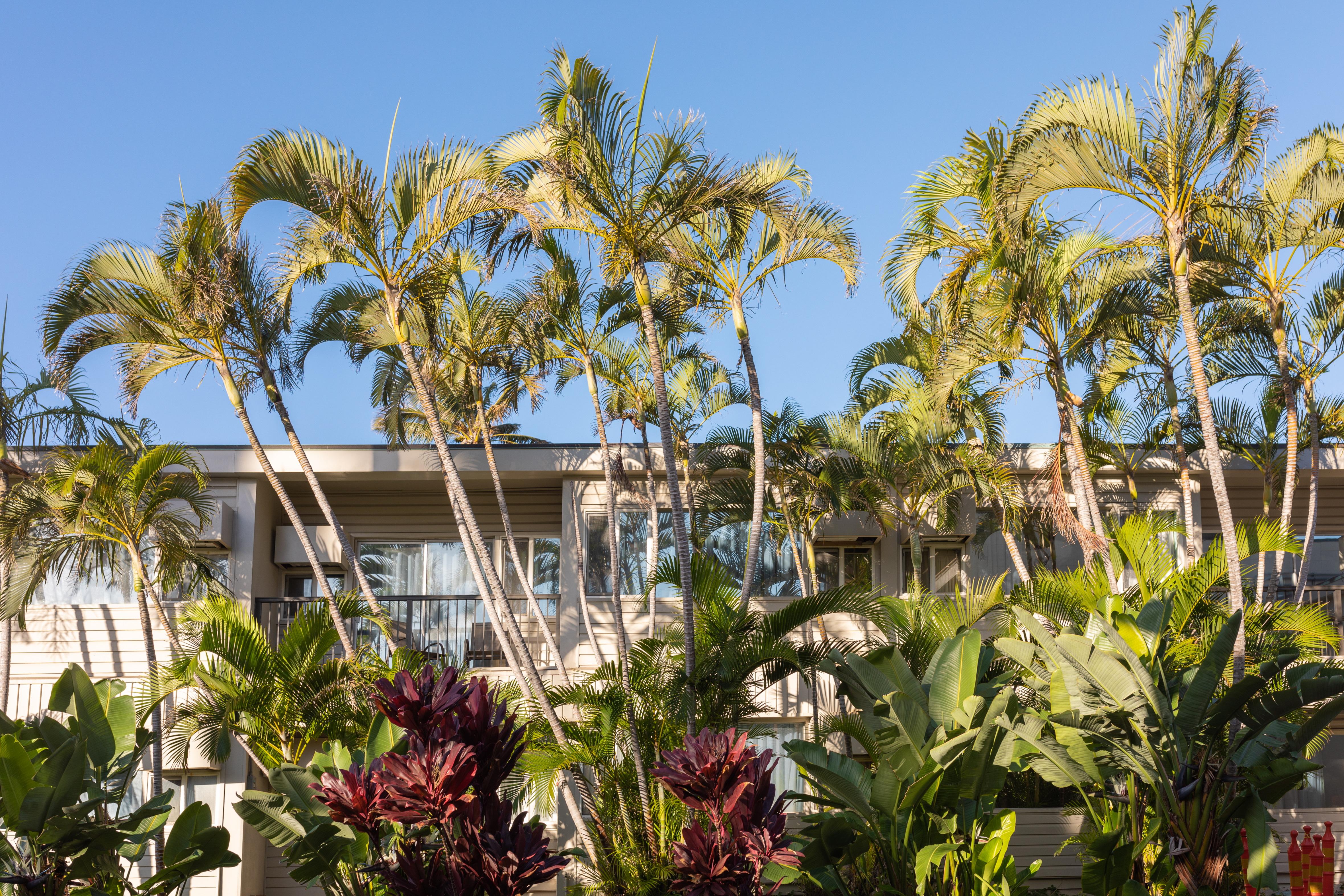 Maui Beach Hotel Kahului Buitenkant foto